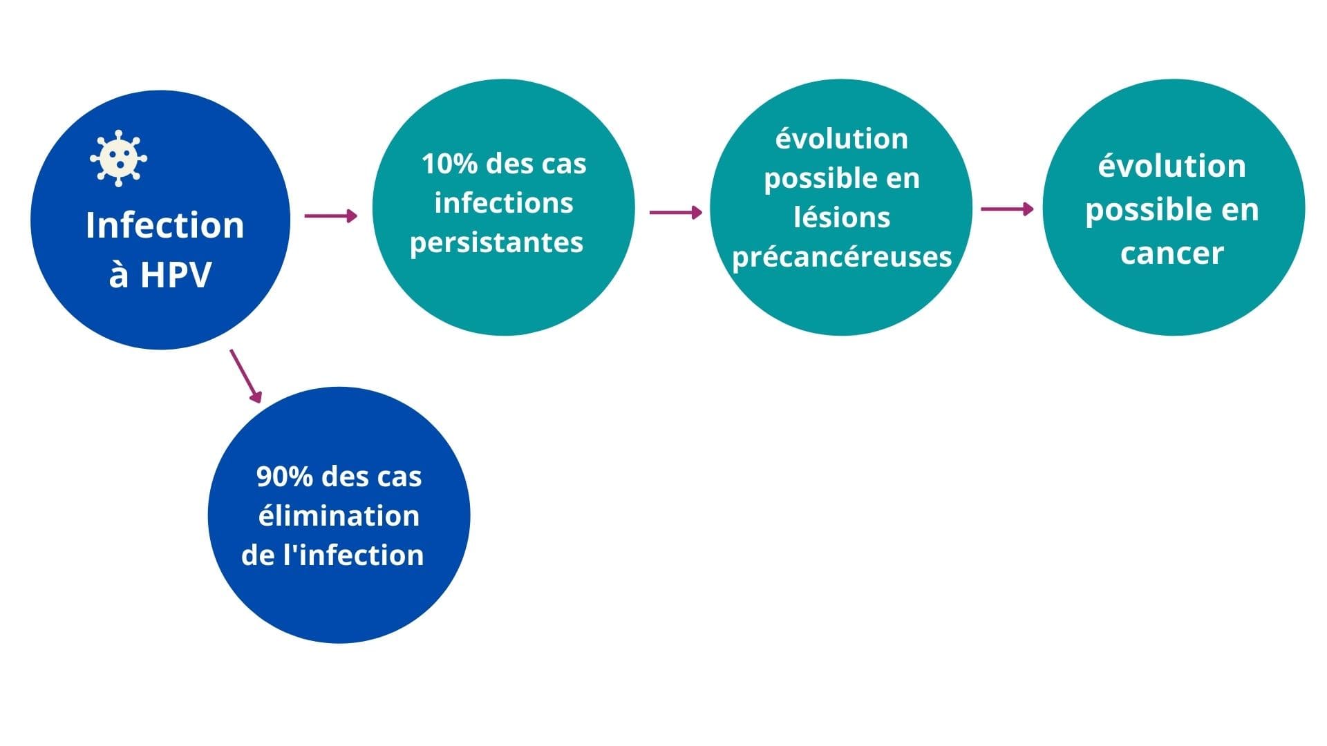 crips_infographie_hpv
