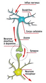 Illustration neurone-effet des drogues